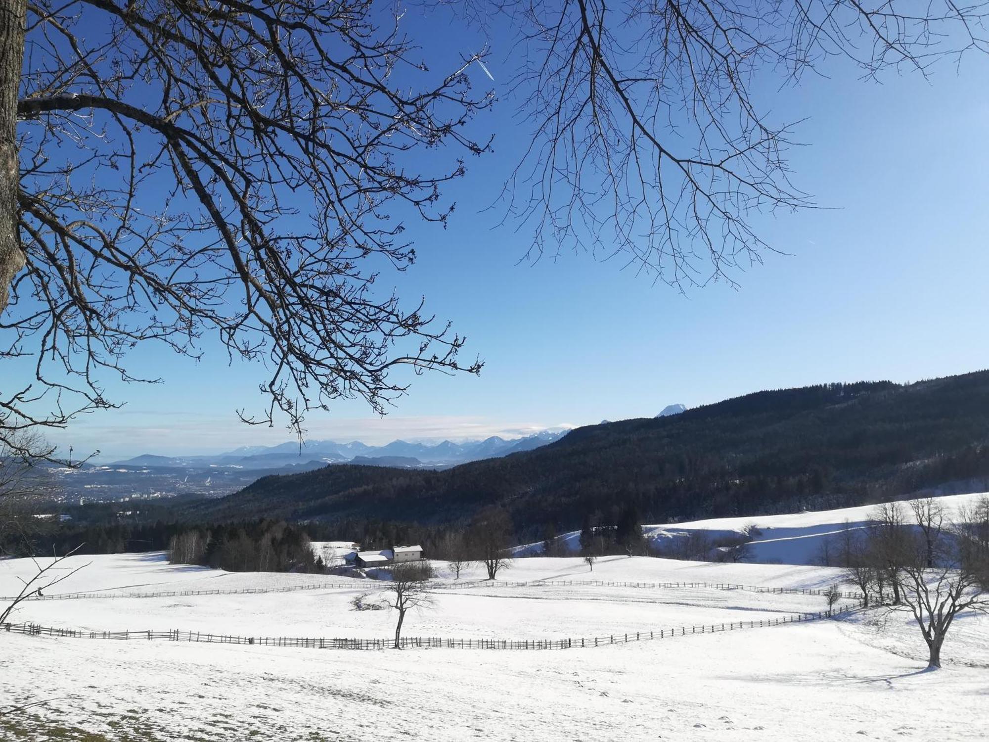 Casableiberg - Garten Apartment - Naturpark Dobratsch Bad Bleiberg Luaran gambar